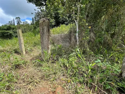 Km 0.2 Int Bo. Helechal Pr 152 Barranquitas PR 00794
