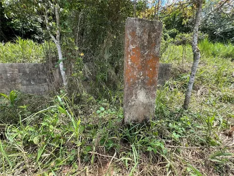Km 0.2 Int Bo. Helechal Pr 152 Barranquitas PR 00794
