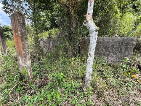 Km 0.2 Int Bo. Helechal Pr 152 Barranquitas PR 00794