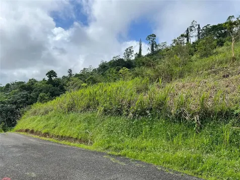 Km 0.2 Int Bo. Helechal Pr 152 Barranquitas PR 00794