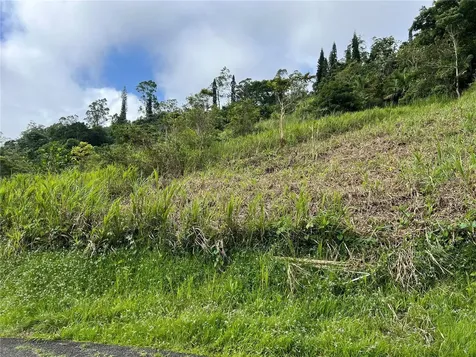 Km 0.2 Int Bo. Helechal Pr 152 Barranquitas PR 00794