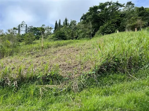 Km 0.2 Int Bo. Helechal Pr 152 Barranquitas PR 00794