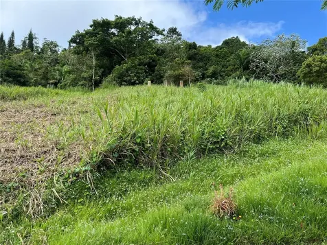 Km 0.2 Int Bo. Helechal Pr 152 Barranquitas PR 00794