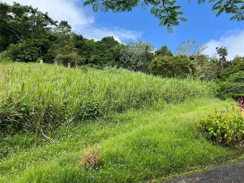 Km 0.2 Int Bo. Helechal Pr 152 Barranquitas PR 00794
