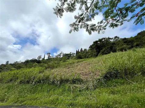 Km 0.2 Int Bo. Helechal Pr 152 Barranquitas PR 00794