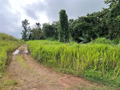 Km 0.2 Int Bo. Helechal Pr 152 Barranquitas PR 00794