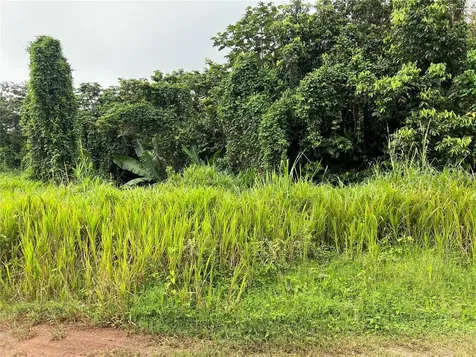 Km 0.2 Int Bo. Helechal Pr 152 Barranquitas PR 00794