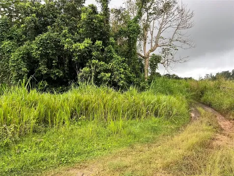 Km 0.2 Int Bo. Helechal Pr 152 Barranquitas PR 00794