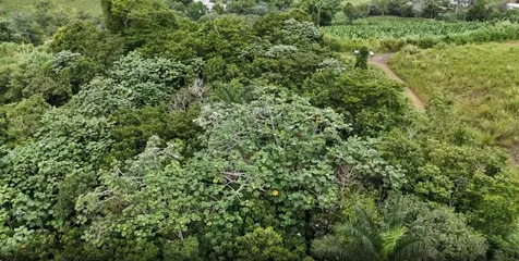 Km 0.2 Int Bo. Helechal Pr 152 Barranquitas PR 00794