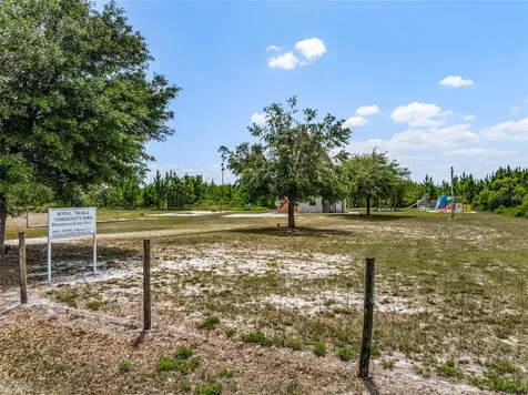 42368 W Cashew Court Eustis FL 32736