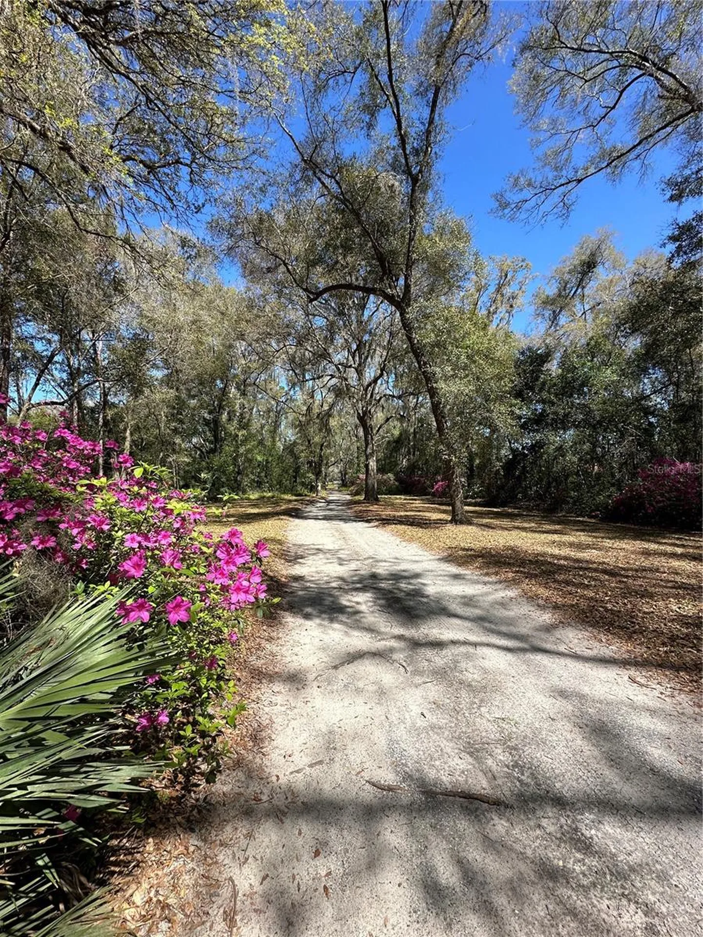 5050 W Highway 326 Ocala FL 34482