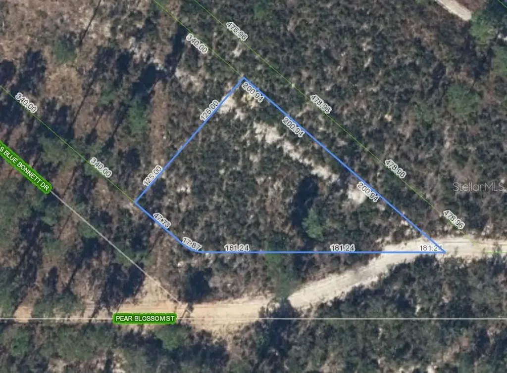 6115 Pear Blossom Street Sebring FL 33876
