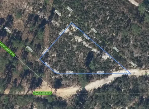 6115 Pear Blossom Street Sebring FL 33876