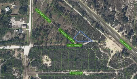 6115 Pear Blossom Street Sebring FL 33876