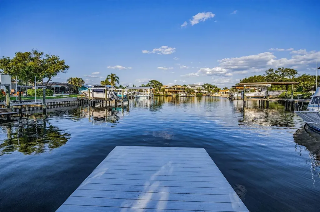117 Carlyle Drive Palm Harbor FL 34683