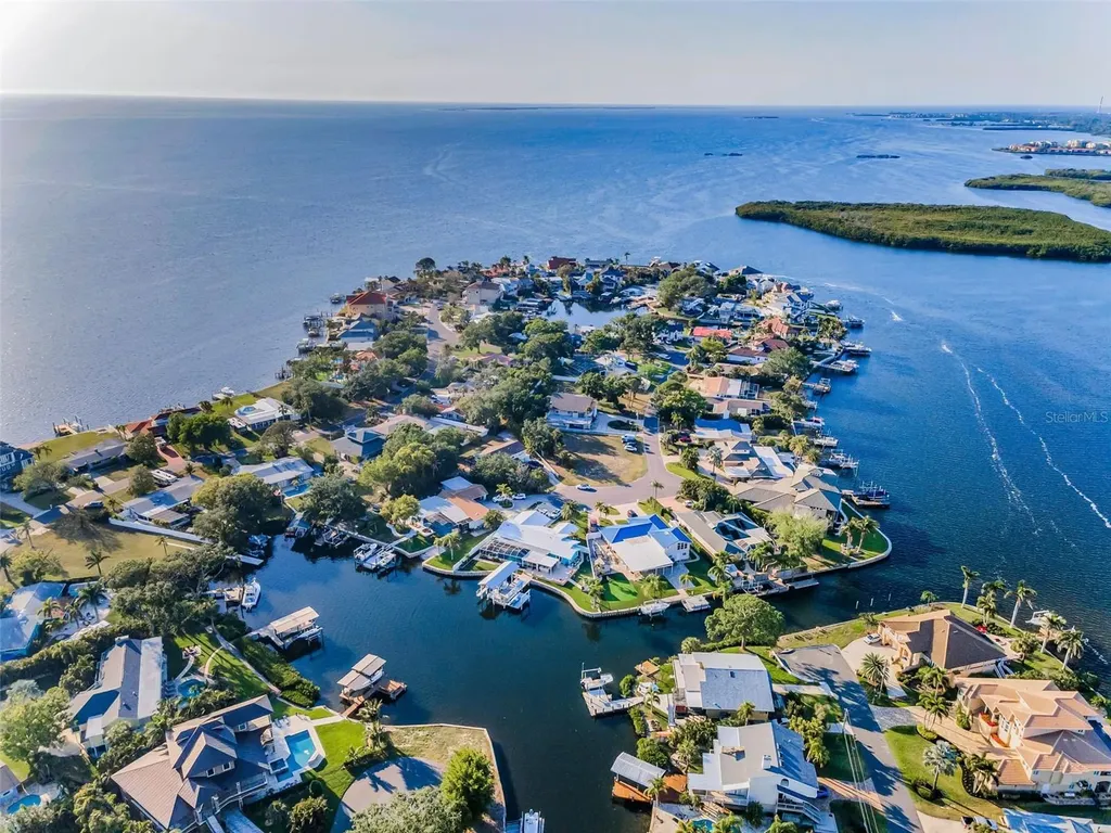 117 Carlyle Drive Palm Harbor FL 34683
