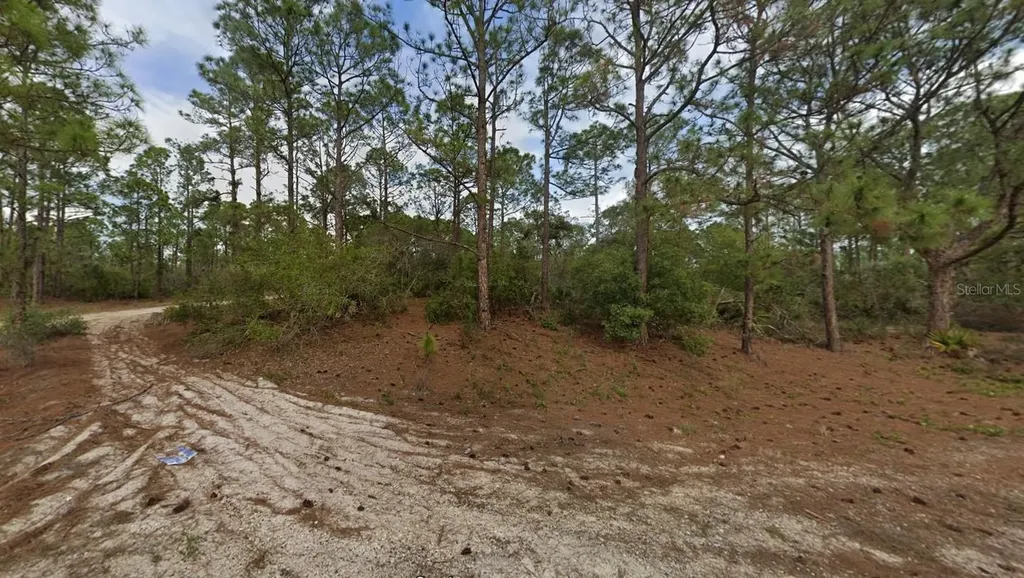 401 Wind Rose Avenue Lake Placid FL 33852