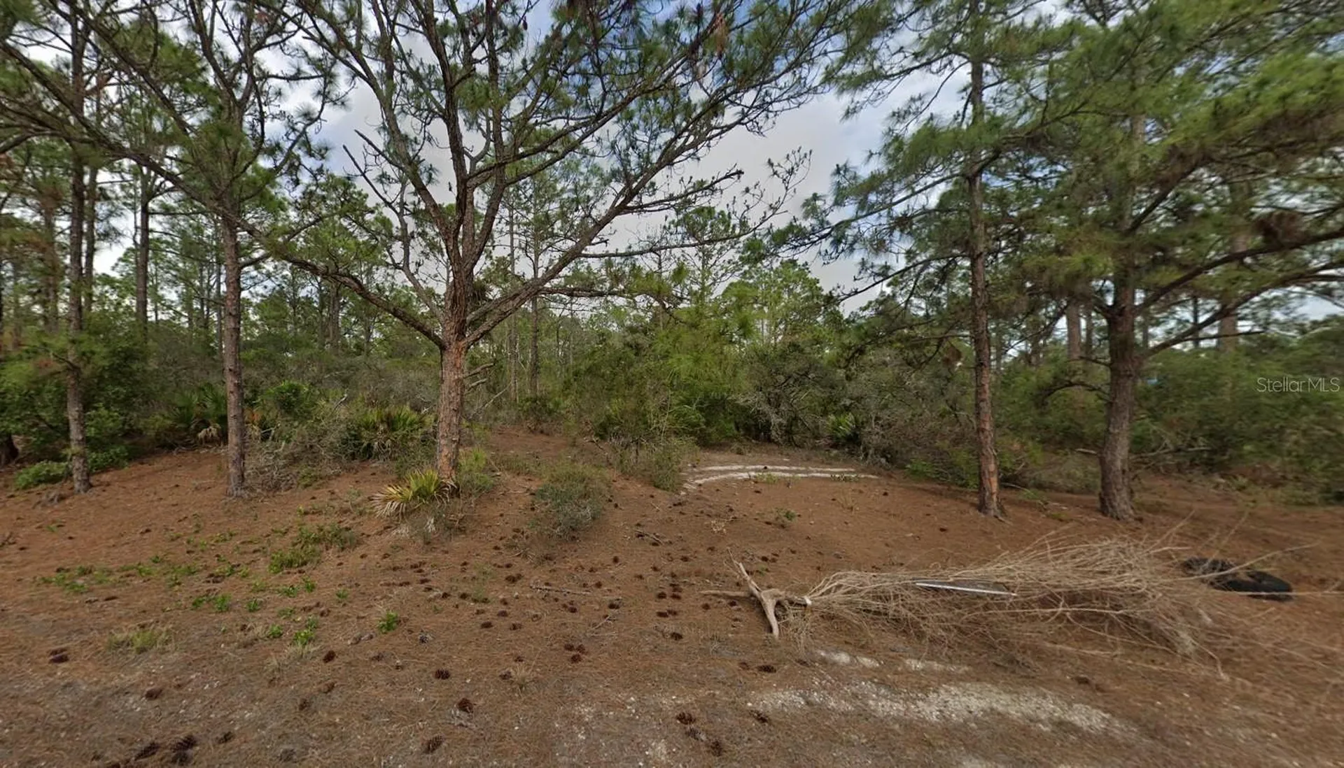 401 Wind Rose Avenue Lake Placid FL 33852