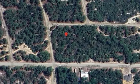 401 Wind Rose Avenue Lake Placid FL 33852