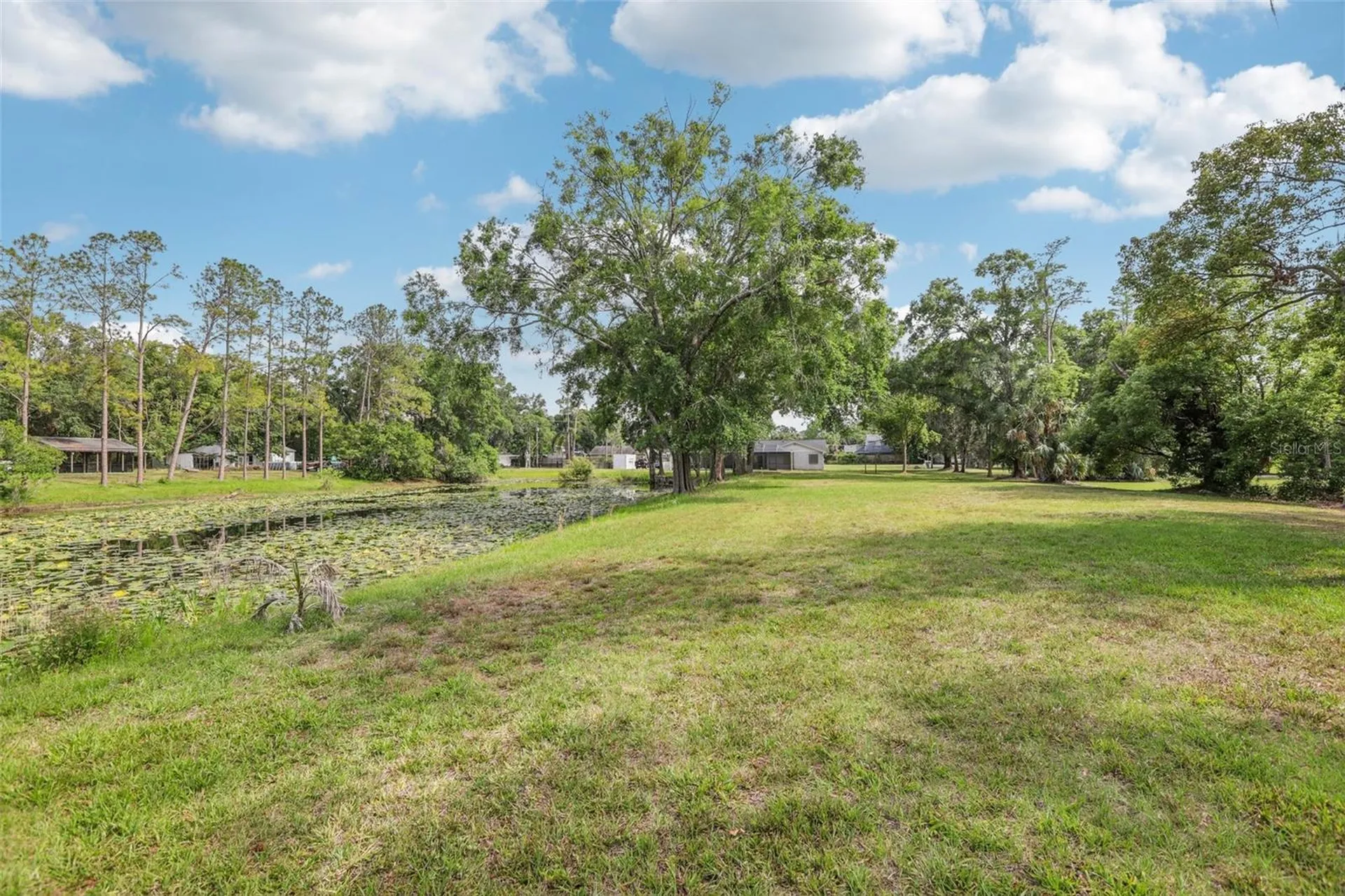 1226 Debuel Road Lutz FL 33549