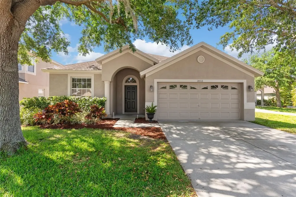 18816 Narimore Drive Land O Lakes FL 34638