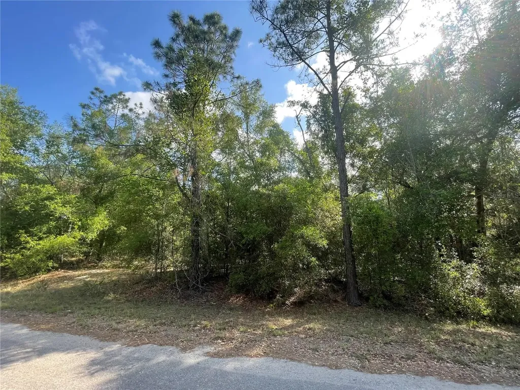 Tbd Sequoia Drive Ocklawaha FL 32179