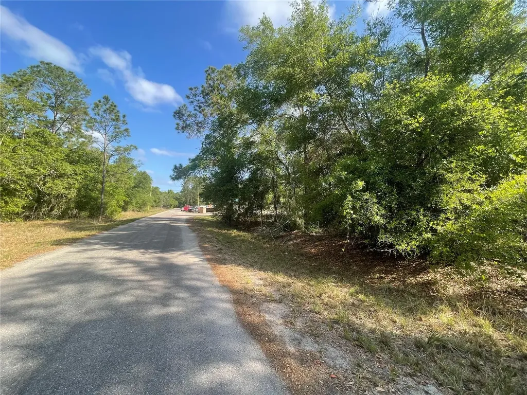 Tbd Sequoia Drive Ocklawaha FL 32179