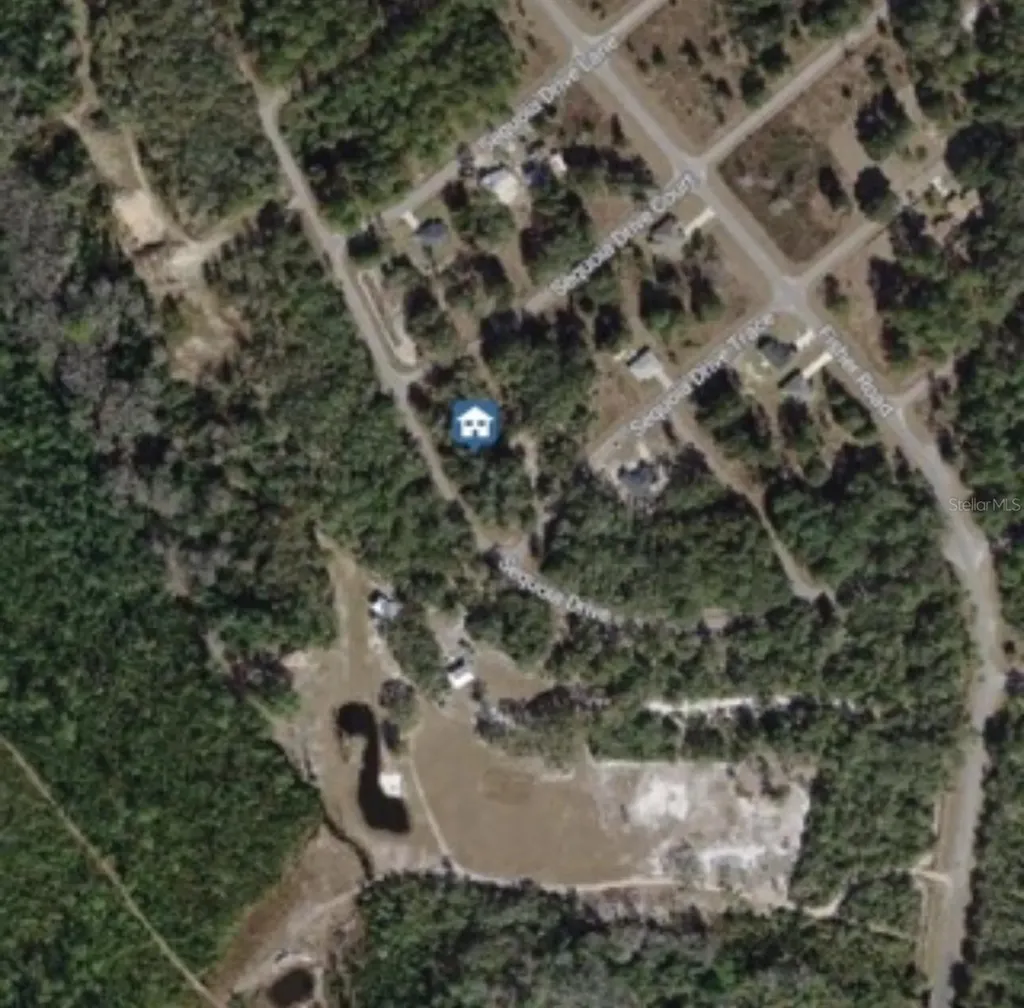 Tbd Sequoia Drive Ocklawaha FL 32179