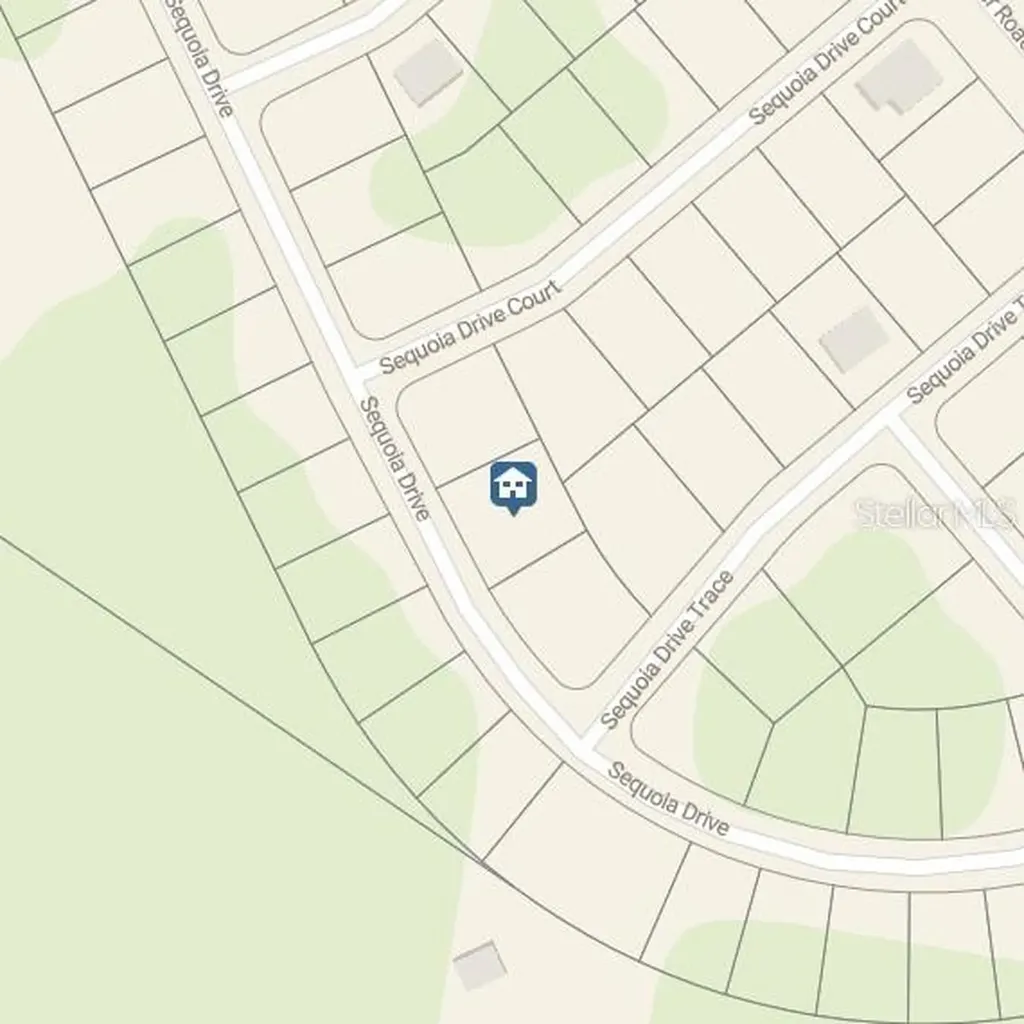 Tbd Sequoia Drive Ocklawaha FL 32179