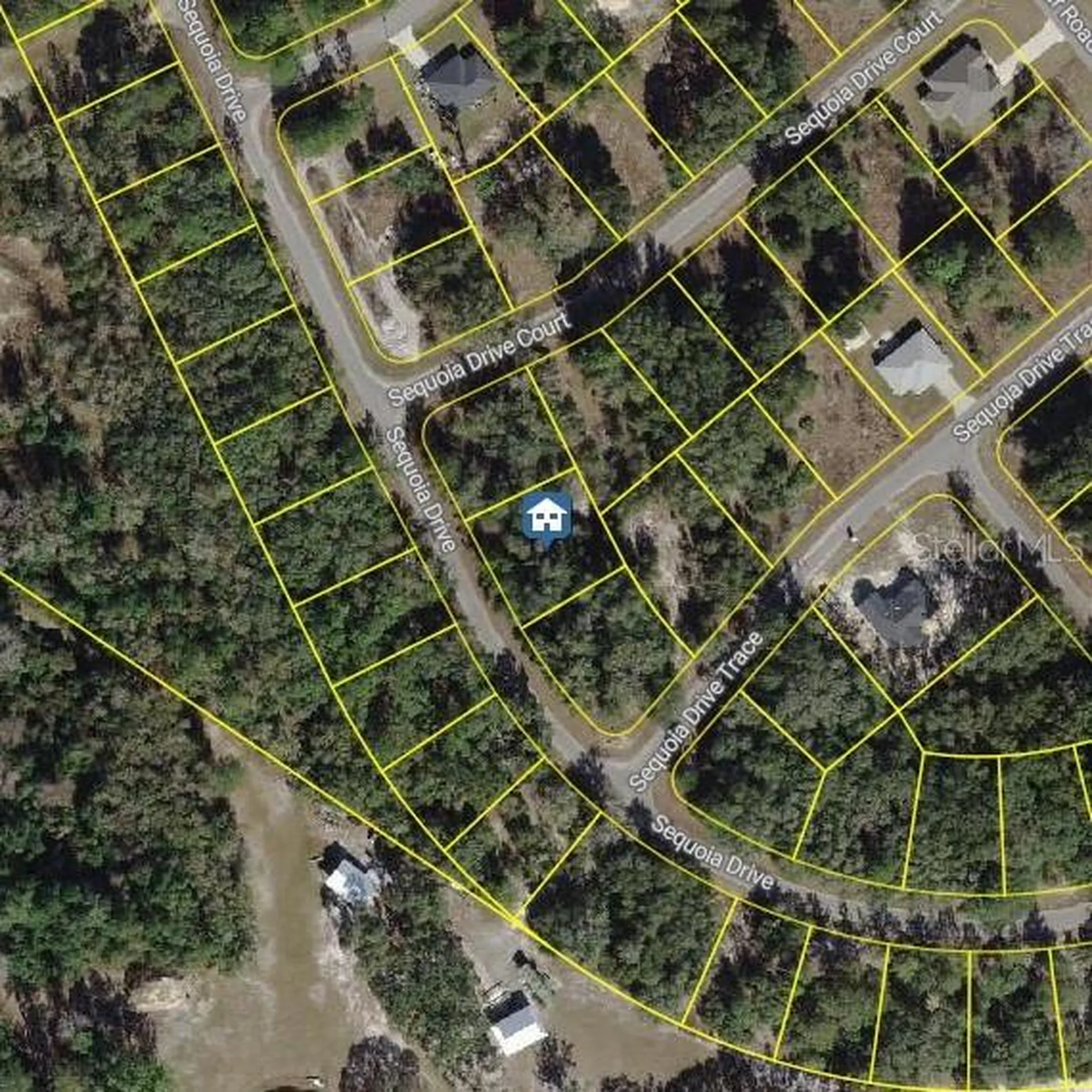 Tbd Sequoia Drive Ocklawaha FL 32179