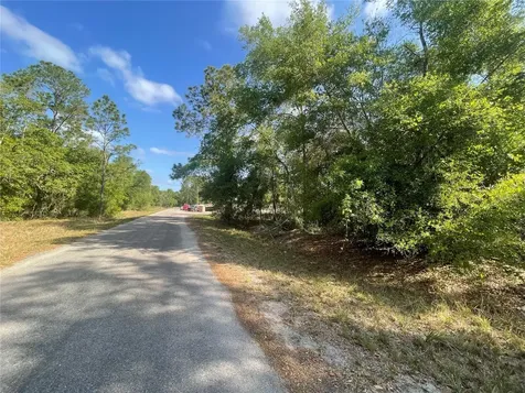 Tbd Sequoia Drive Ocklawaha FL 32179