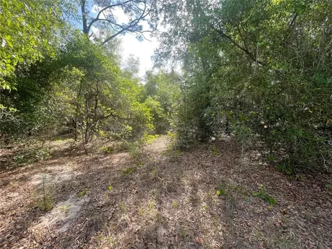 Tbd Sequoia Drive Ocklawaha FL 32179