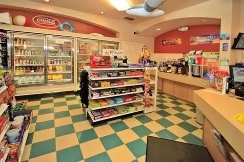 8110 Princess Palm Lane Kissimmee FL 34747
