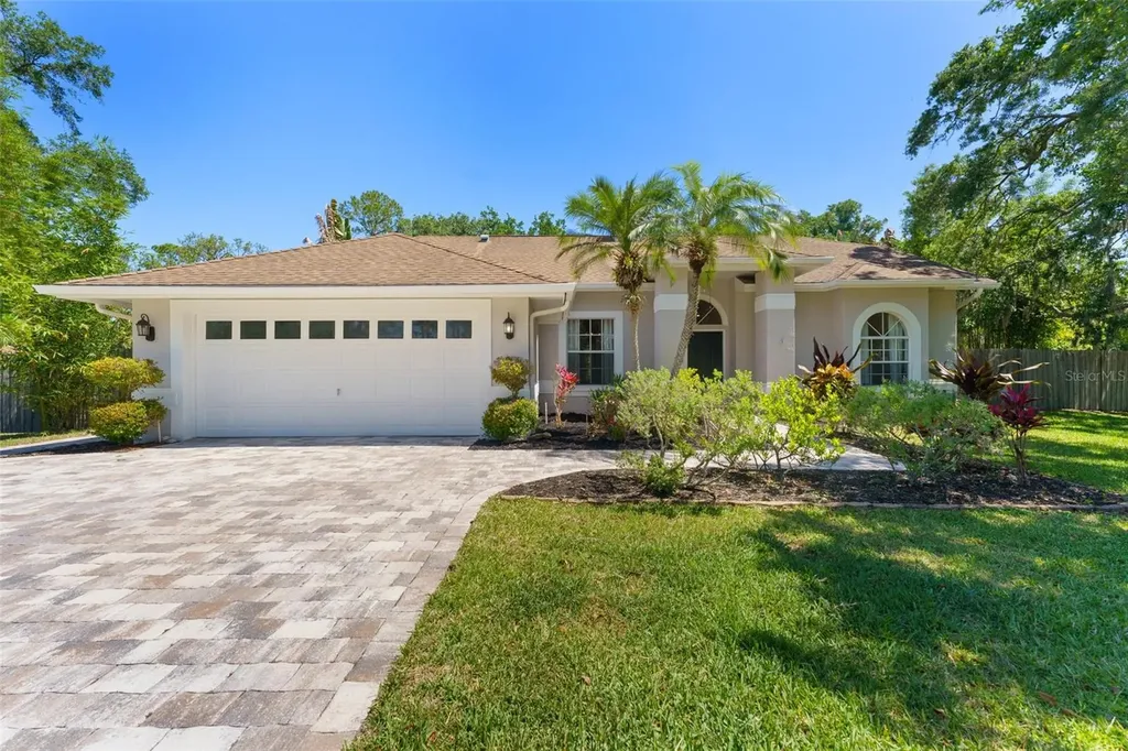 12503 Bronco Drive Tampa FL 33626