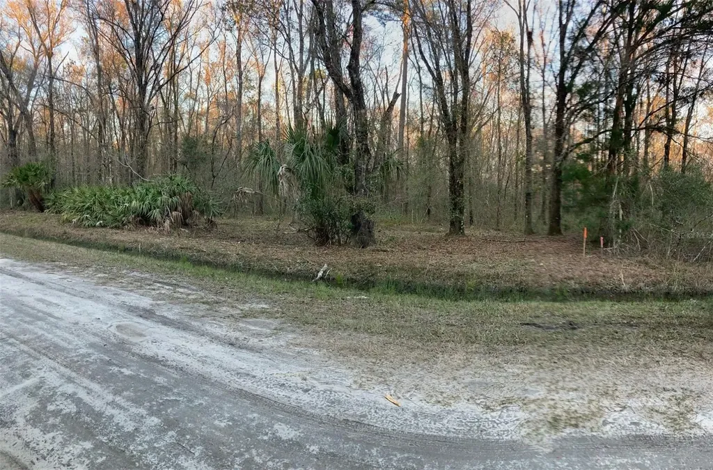10450 Weatherby Avenue Hastings FL 32145