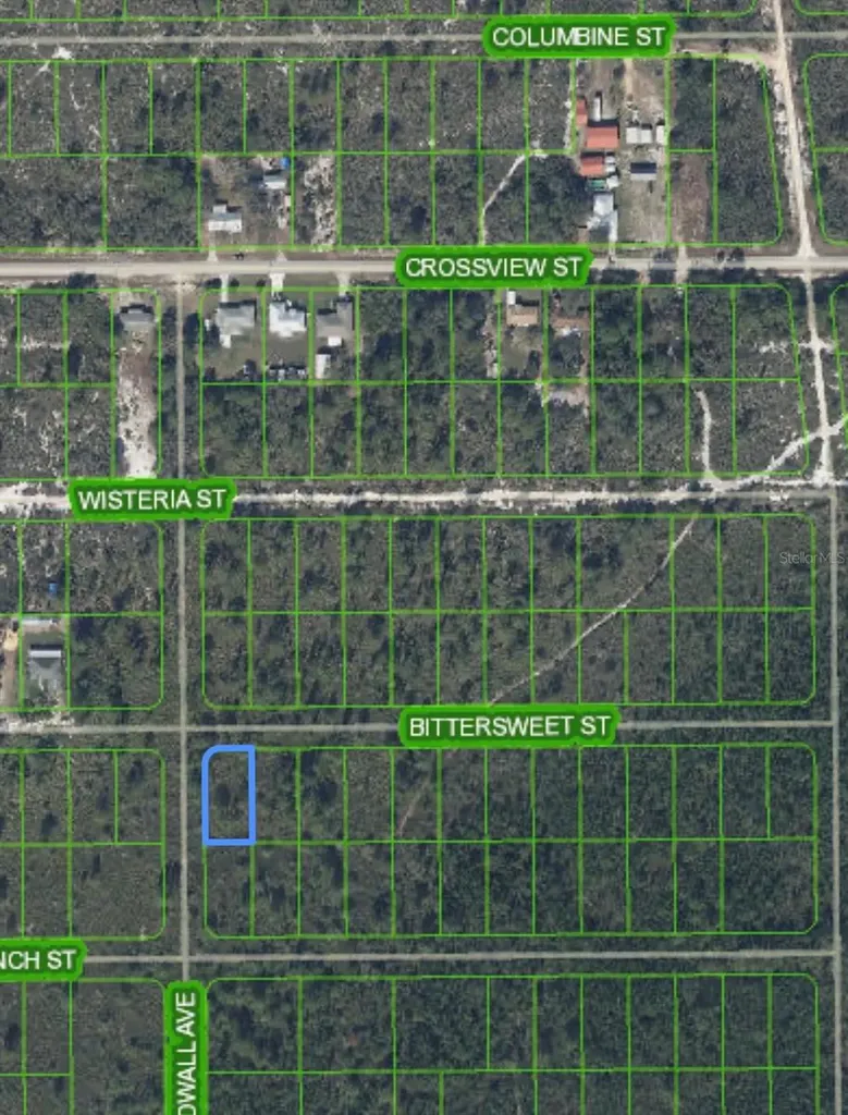 629 Gadwall Avenue Lake Placid FL 33852