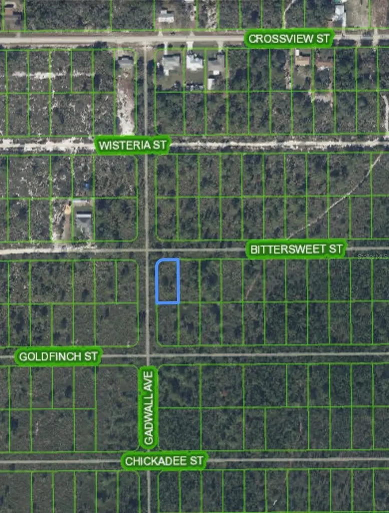 629 Gadwall Avenue Lake Placid FL 33852