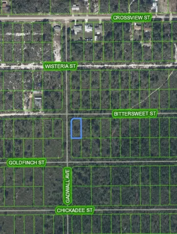 629 Gadwall Avenue Lake Placid FL 33852