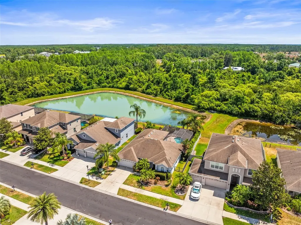 9632 Asbel Estates Street Land O Lakes FL 34638