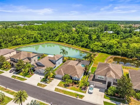 9632 Asbel Estates Street Land O Lakes FL 34638