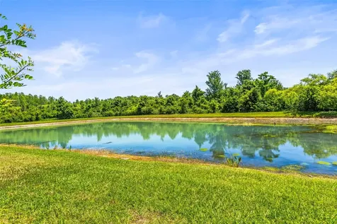 9632 Asbel Estates Street Land O Lakes FL 34638