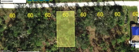 28165 Alatadena Drive Punta Gorda FL 33955
