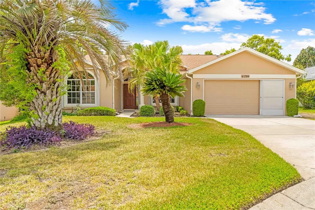 11284 Hickory Ridge Court Spring Hill FL 34609