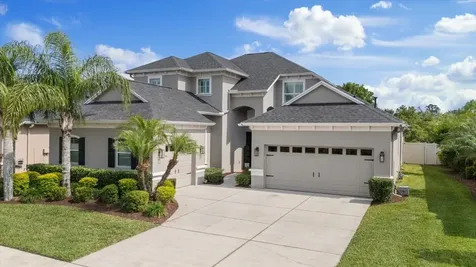 3142 Stonegate Falls Drive Land O Lakes FL 34638