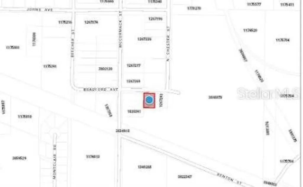 1903 Bradford Avenue Leesburg FL 34748