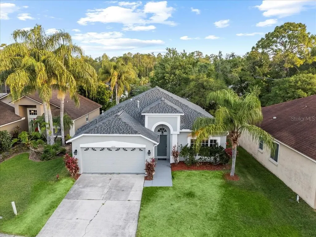 12531 Blazing Star Drive Tampa FL 33626