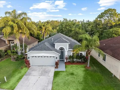 12531 Blazing Star Drive Tampa FL 33626