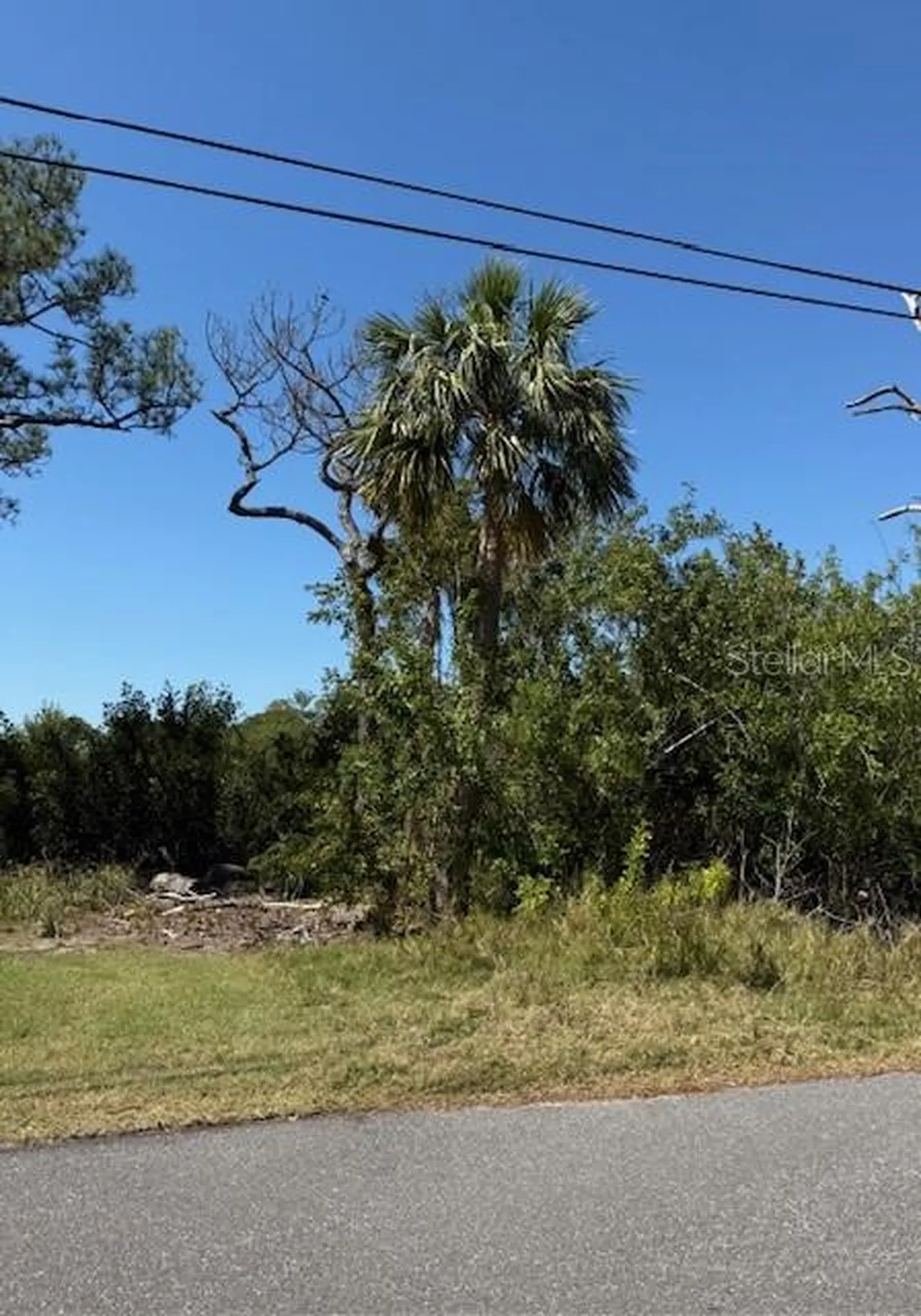 Sea Breeze Drive Tarpon Springs FL 34689