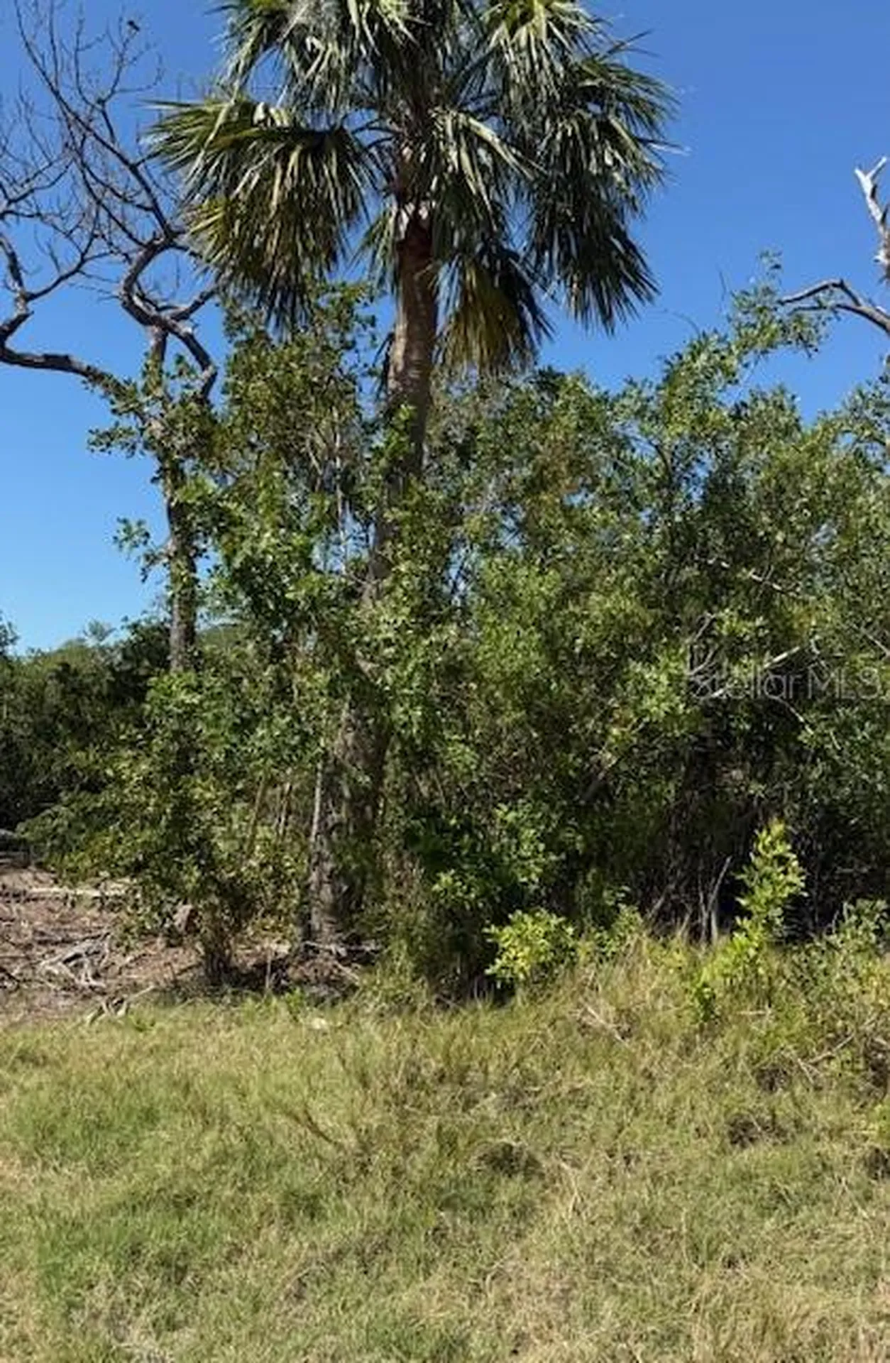 Sea Breeze Drive Tarpon Springs FL 34689