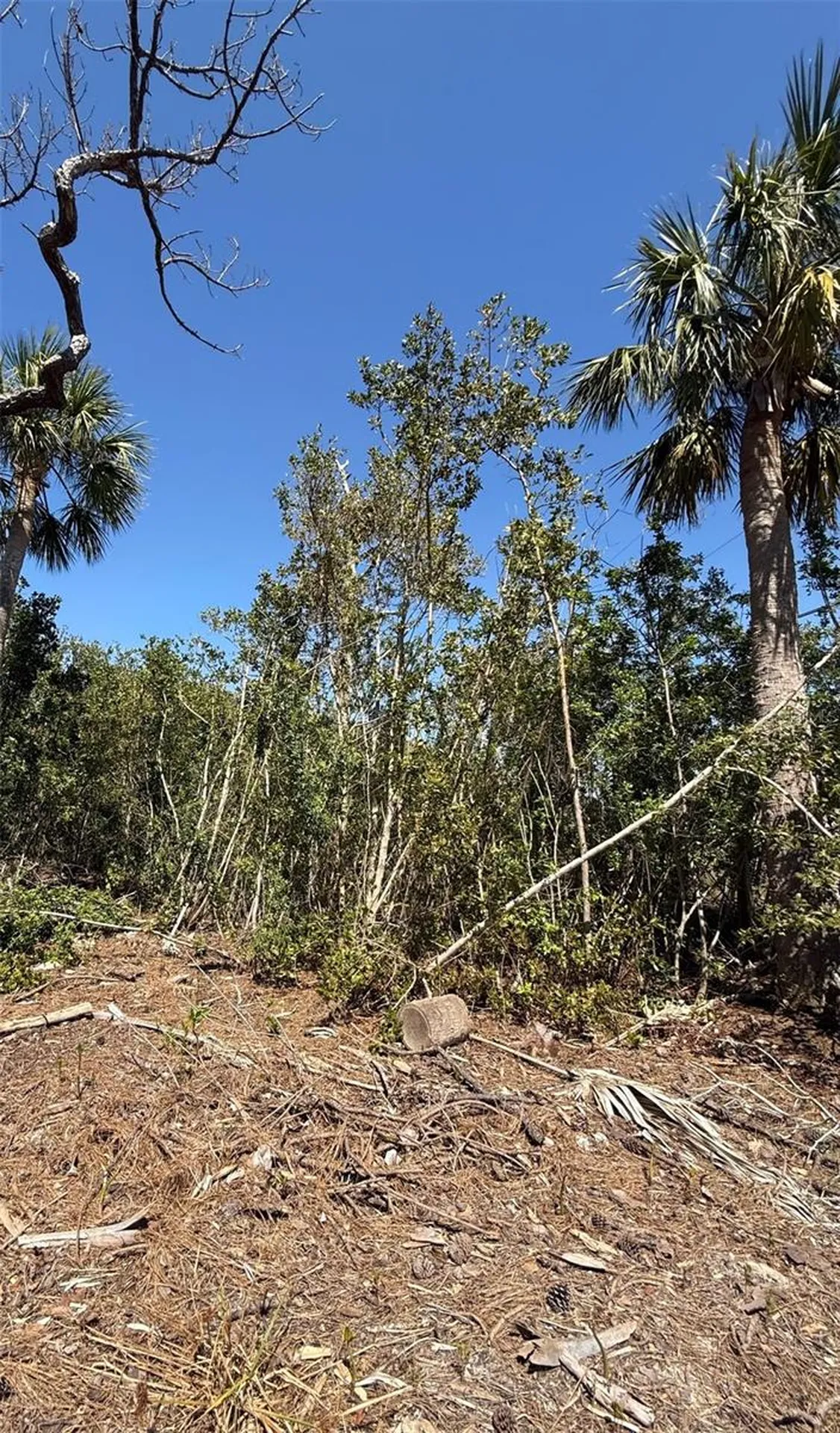 Sea Breeze Drive Tarpon Springs FL 34689
